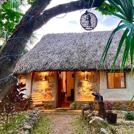 Encantadora Villa Maya Tradicional En Rancho Agroecologico Tzucaceb Kültér fotó