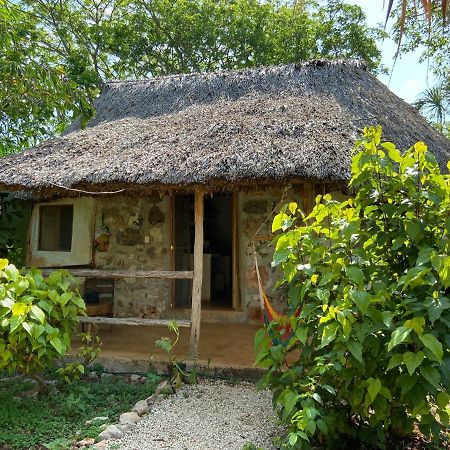 Encantadora Villa Maya Tradicional En Rancho Agroecologico Tzucaceb Kültér fotó
