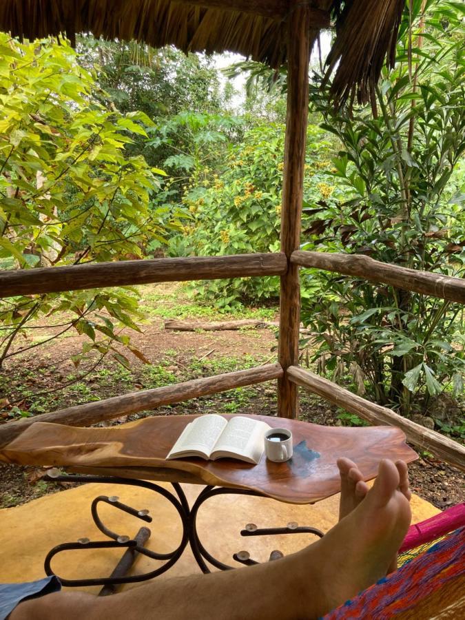 Encantadora Villa Maya Tradicional En Rancho Agroecologico Tzucaceb Kültér fotó