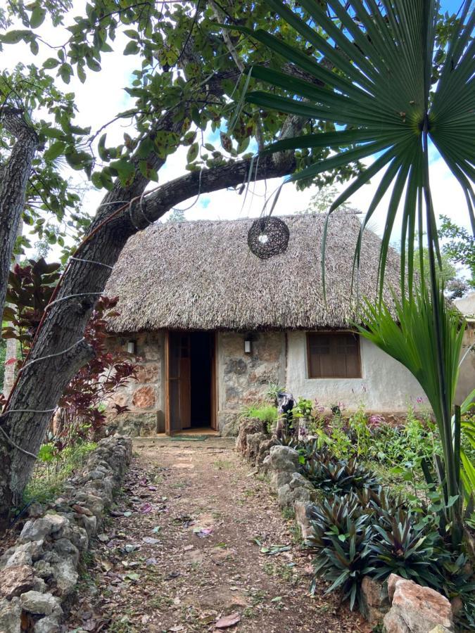 Encantadora Villa Maya Tradicional En Rancho Agroecologico Tzucaceb Kültér fotó