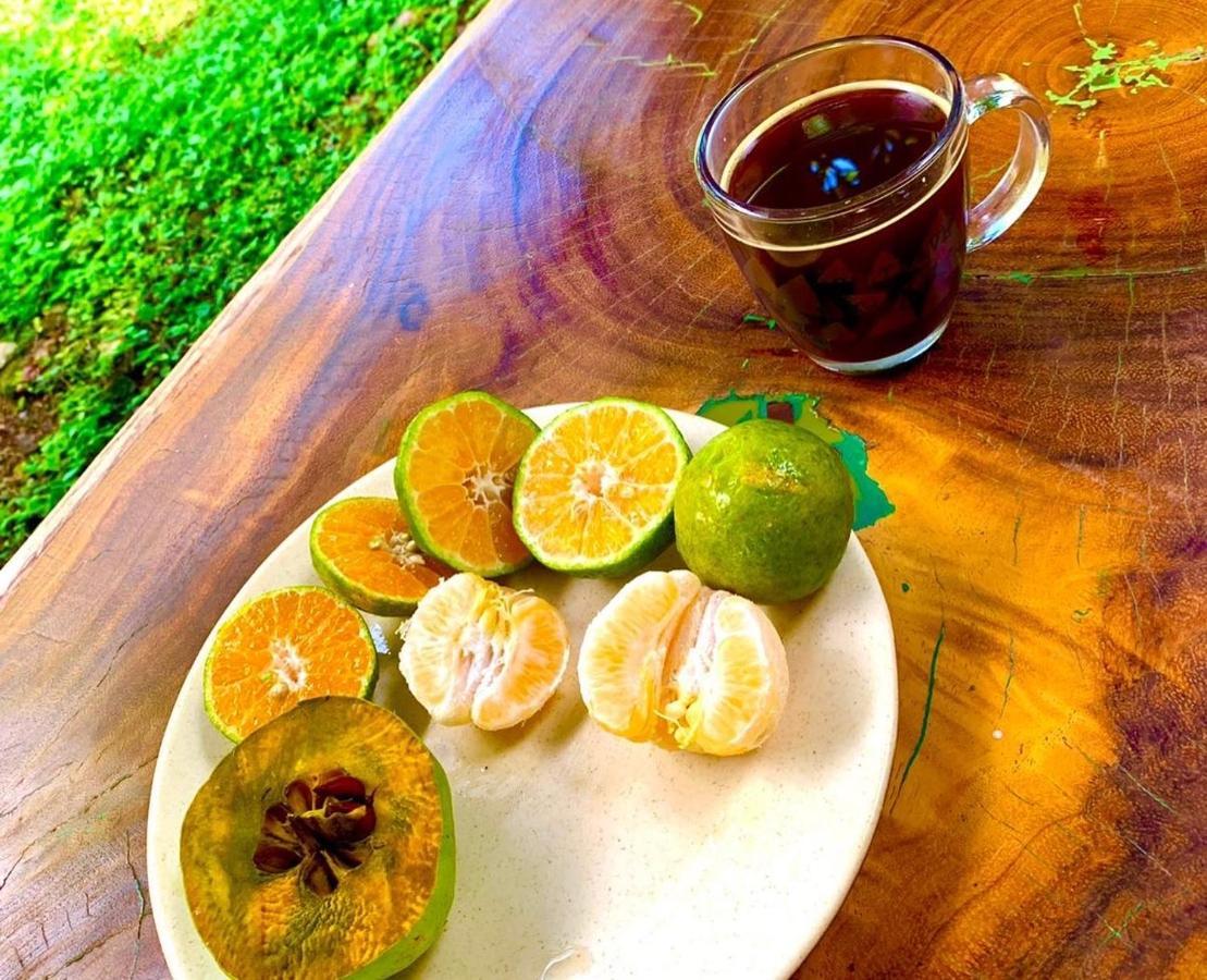 Encantadora Villa Maya Tradicional En Rancho Agroecologico Tzucaceb Kültér fotó