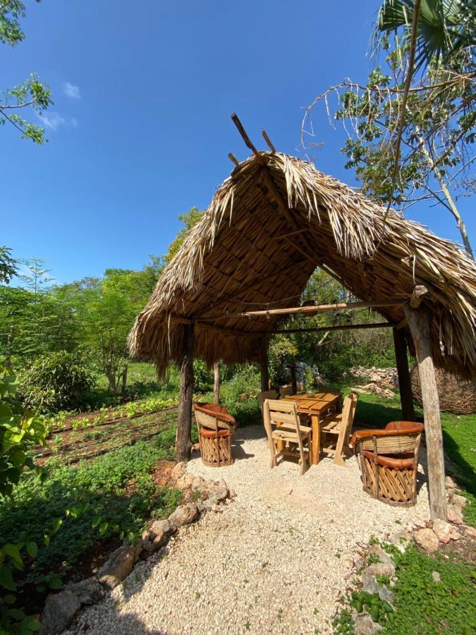 Encantadora Villa Maya Tradicional En Rancho Agroecologico Tzucaceb Kültér fotó