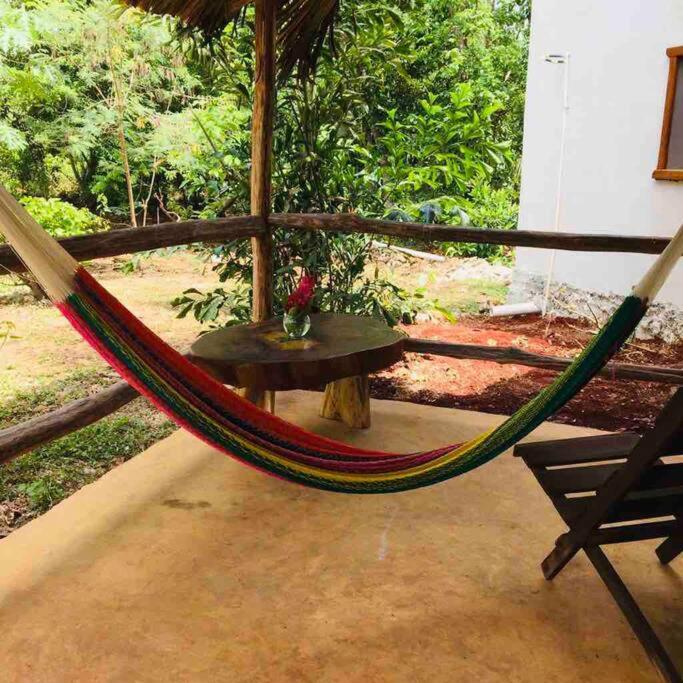 Encantadora Villa Maya Tradicional En Rancho Agroecologico Tzucaceb Kültér fotó