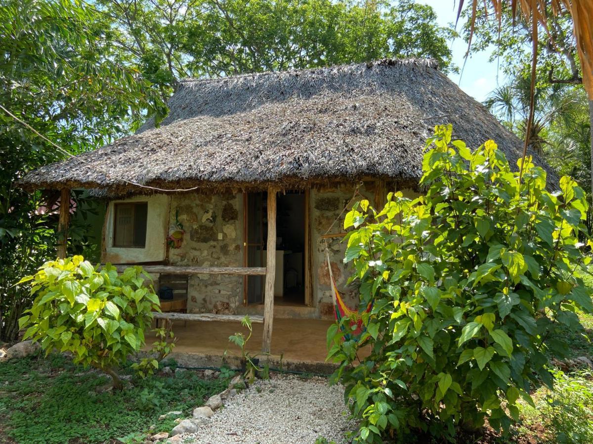 Encantadora Villa Maya Tradicional En Rancho Agroecologico Tzucaceb Kültér fotó