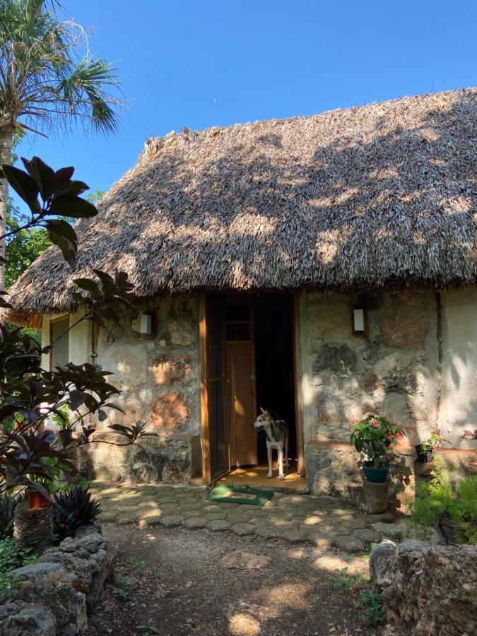Encantadora Villa Maya Tradicional En Rancho Agroecologico Tzucaceb Kültér fotó