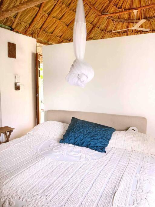 Encantadora Villa Maya Tradicional En Rancho Agroecologico Tzucaceb Kültér fotó