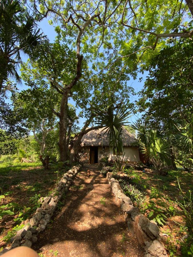 Encantadora Villa Maya Tradicional En Rancho Agroecologico Tzucaceb Kültér fotó