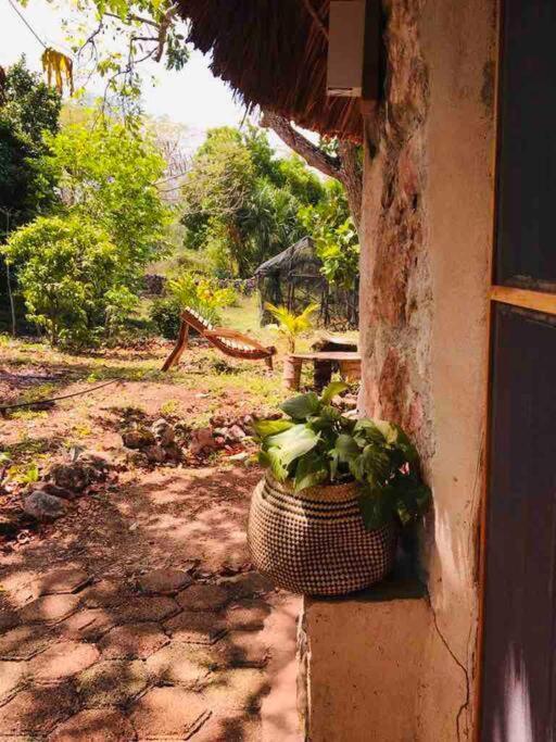 Encantadora Villa Maya Tradicional En Rancho Agroecologico Tzucaceb Kültér fotó