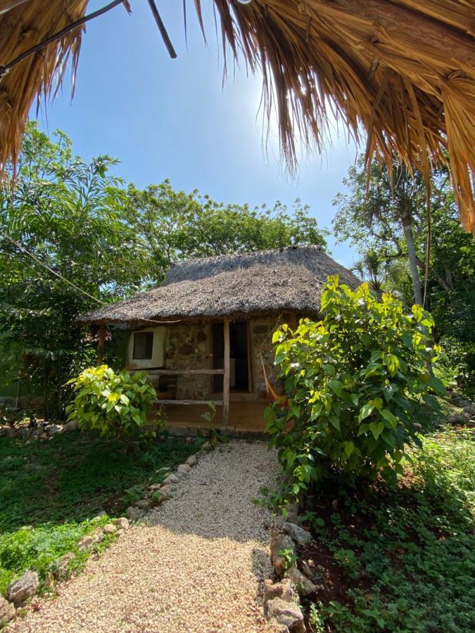 Encantadora Villa Maya Tradicional En Rancho Agroecologico Tzucaceb Kültér fotó