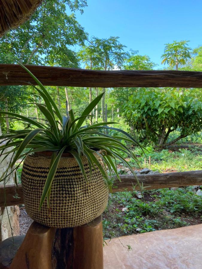 Encantadora Villa Maya Tradicional En Rancho Agroecologico Tzucaceb Kültér fotó