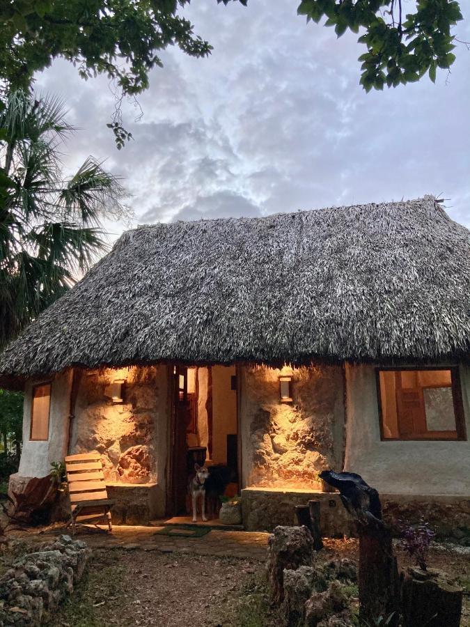 Encantadora Villa Maya Tradicional En Rancho Agroecologico Tzucaceb Kültér fotó