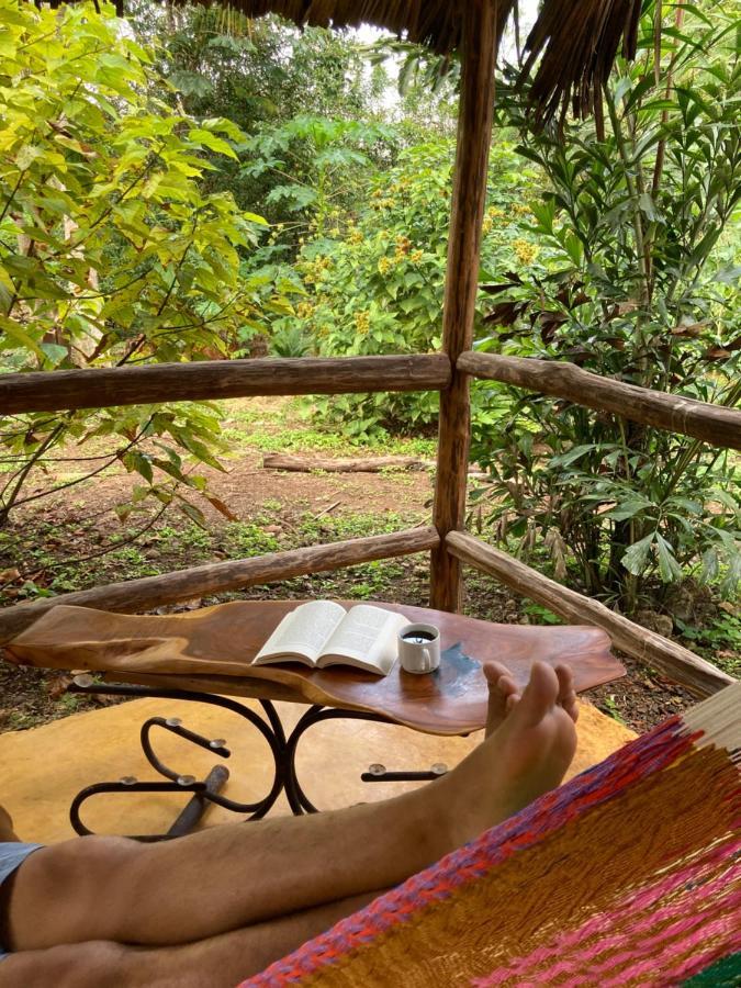 Encantadora Villa Maya Tradicional En Rancho Agroecologico Tzucaceb Kültér fotó