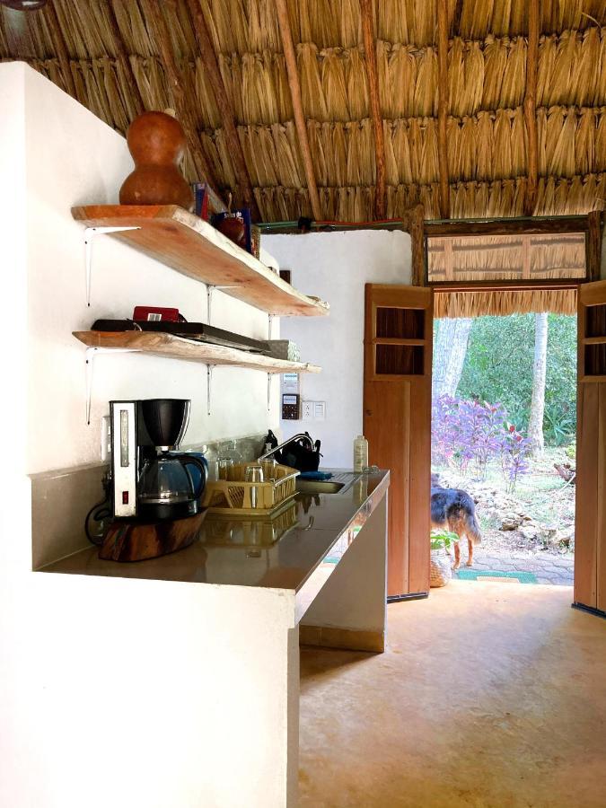Encantadora Villa Maya Tradicional En Rancho Agroecologico Tzucaceb Kültér fotó