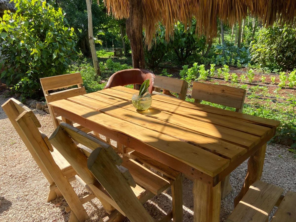 Encantadora Villa Maya Tradicional En Rancho Agroecologico Tzucaceb Kültér fotó