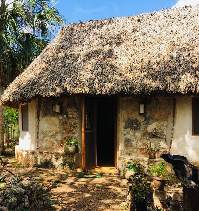 Encantadora Villa Maya Tradicional En Rancho Agroecologico Tzucaceb Kültér fotó