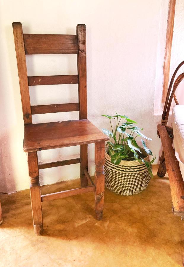 Encantadora Villa Maya Tradicional En Rancho Agroecologico Tzucaceb Kültér fotó