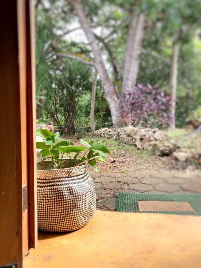 Encantadora Villa Maya Tradicional En Rancho Agroecologico Tzucaceb Kültér fotó