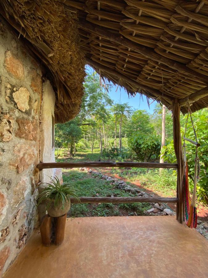 Encantadora Villa Maya Tradicional En Rancho Agroecologico Tzucaceb Kültér fotó