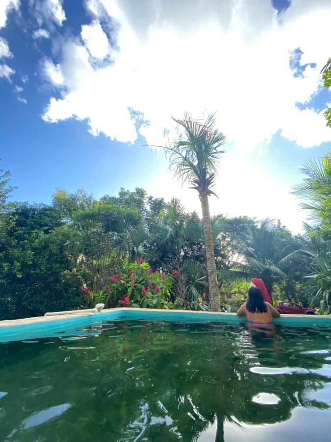 Encantadora Villa Maya Tradicional En Rancho Agroecologico Tzucaceb Kültér fotó